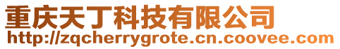 重慶天丁科技有限公司
