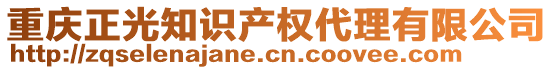 重慶正光知識產(chǎn)權(quán)代理有限公司