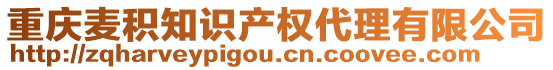 重慶麥積知識產(chǎn)權(quán)代理有限公司