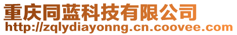 重慶同藍(lán)科技有限公司