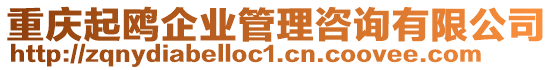 重慶起鷗企業(yè)管理咨詢有限公司