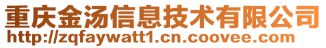 重慶金湯信息技術(shù)有限公司