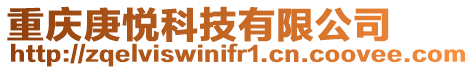 重慶庚悅科技有限公司