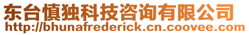 東臺慎獨科技咨詢有限公司