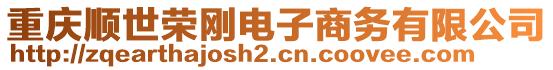 重慶順世榮剛電子商務有限公司