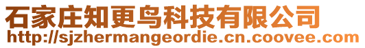 石家莊知更鳥科技有限公司