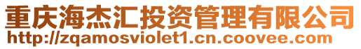 重慶海杰匯投資管理有限公司