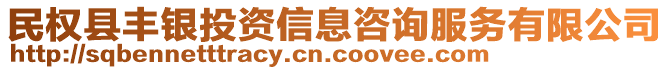 民权县丰银投资信息咨询服务有限公司