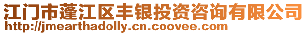 江門(mén)市蓬江區(qū)豐銀投資咨詢(xún)有限公司