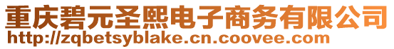 重慶碧元圣熙電子商務(wù)有限公司