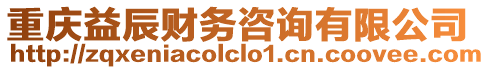 重慶益辰財務(wù)咨詢有限公司