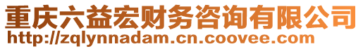 重慶六益宏財務(wù)咨詢有限公司