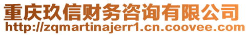 重慶玖信財(cái)務(wù)咨詢有限公司