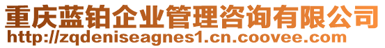 重慶藍鉑企業(yè)管理咨詢有限公司