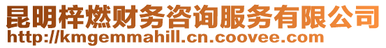 昆明梓燃財務咨詢服務有限公司