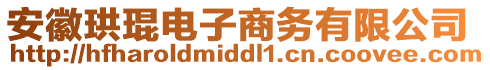 安徽珙琨電子商務(wù)有限公司