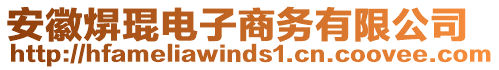 安徽焺琨電子商務(wù)有限公司