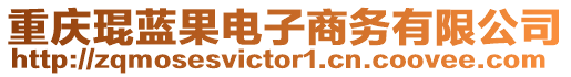 重慶琨藍果電子商務有限公司