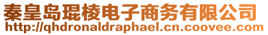 秦皇島琨棱電子商務有限公司