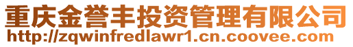 重慶金譽豐投資管理有限公司