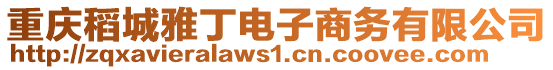 重慶稻城雅丁電子商務(wù)有限公司