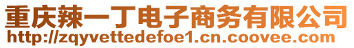 重慶辣一丁電子商務(wù)有限公司