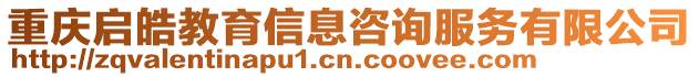 重慶啟皓教育信息咨詢服務(wù)有限公司