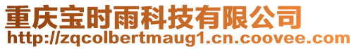 重慶寶時雨科技有限公司