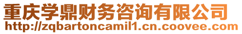重慶學(xué)鼎財(cái)務(wù)咨詢有限公司