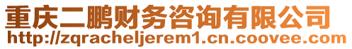 重慶二鵬財(cái)務(wù)咨詢有限公司