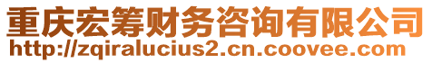 重慶宏籌財務咨詢有限公司