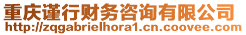 重慶謹(jǐn)行財(cái)務(wù)咨詢有限公司