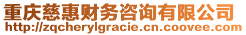 重慶慈惠財(cái)務(wù)咨詢(xún)有限公司