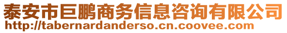 泰安市巨鵬商務(wù)信息咨詢有限公司