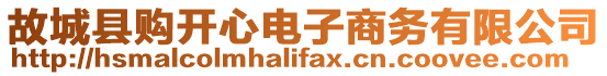 故城縣購開心電子商務有限公司