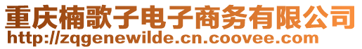 重慶楠歌子電子商務(wù)有限公司