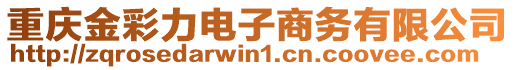 重慶金彩力電子商務(wù)有限公司