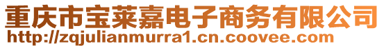 重慶市寶萊嘉電子商務(wù)有限公司