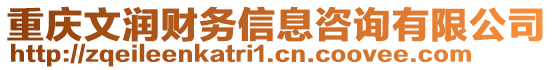 重慶文潤財務(wù)信息咨詢有限公司