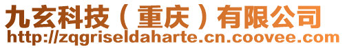 九玄科技（重慶）有限公司