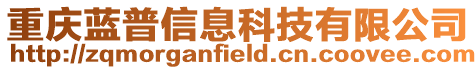 重慶藍(lán)普信息科技有限公司