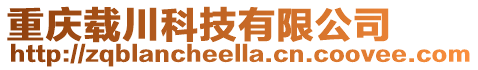 重慶載川科技有限公司