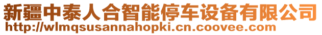 新疆中泰人合智能停車(chē)設(shè)備有限公司