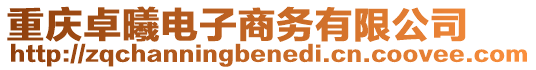 重慶卓曦電子商務有限公司