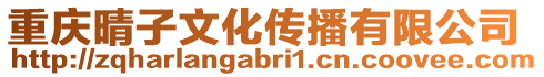 重慶晴子文化傳播有限公司