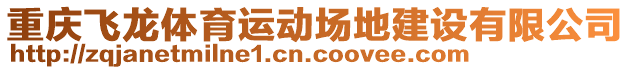 重慶飛龍體育運動場地建設(shè)有限公司