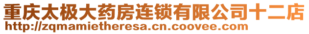 重慶太極大藥房連鎖有限公司十二店