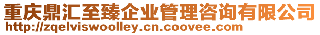 重慶鼎匯至臻企業(yè)管理咨詢有限公司