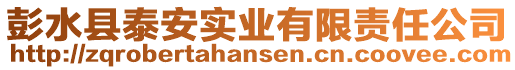 彭水縣泰安實(shí)業(yè)有限責(zé)任公司