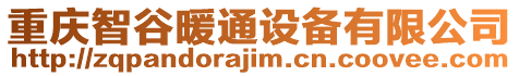 重慶智谷暖通設備有限公司